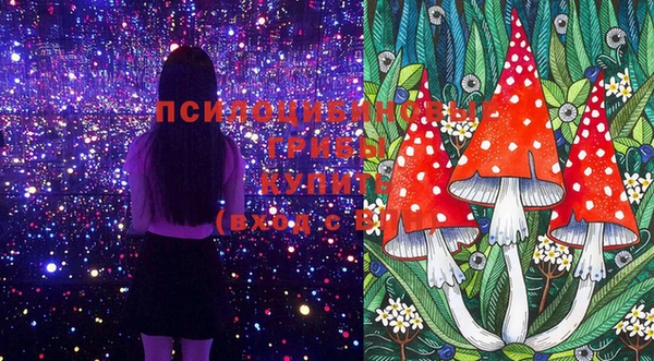 стафф Волосово