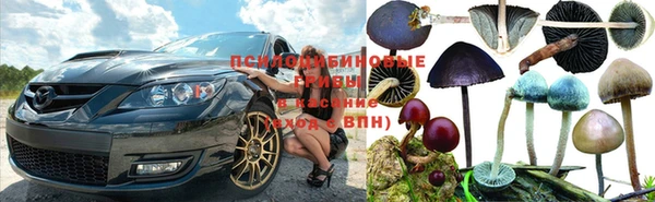 альфа пвп Володарск
