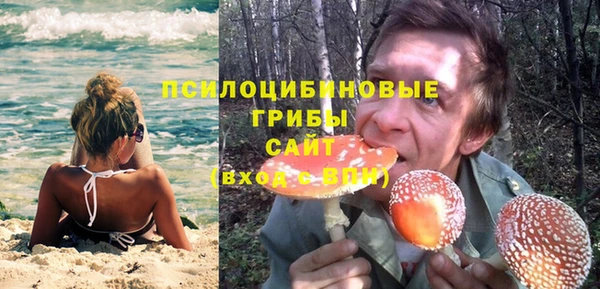 стафф Волосово