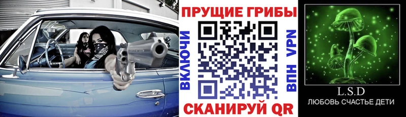 Галлюциногенные грибы Cubensis  Томск 